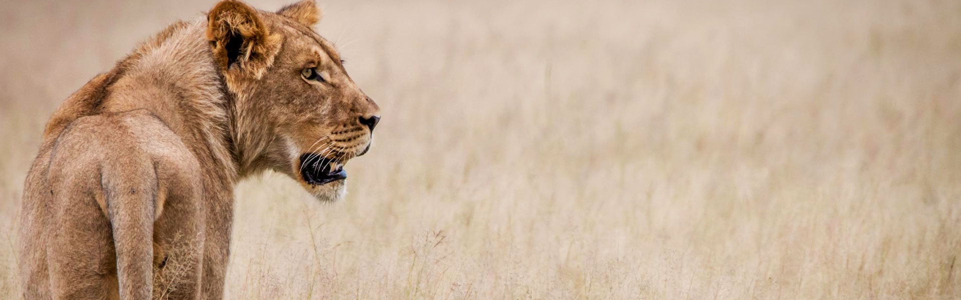 Immersive culture - Cultural Journeys travel experience with Denmar Tours