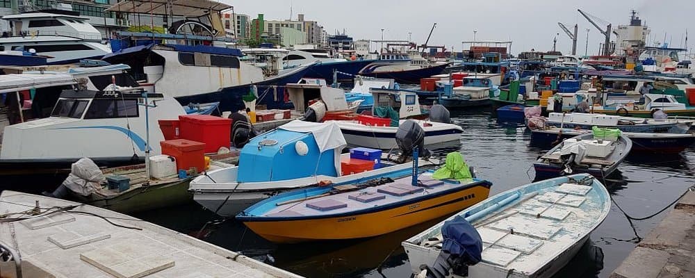 Male travel packages from Kenya — Capital island with luxury resorts and pristine beaches