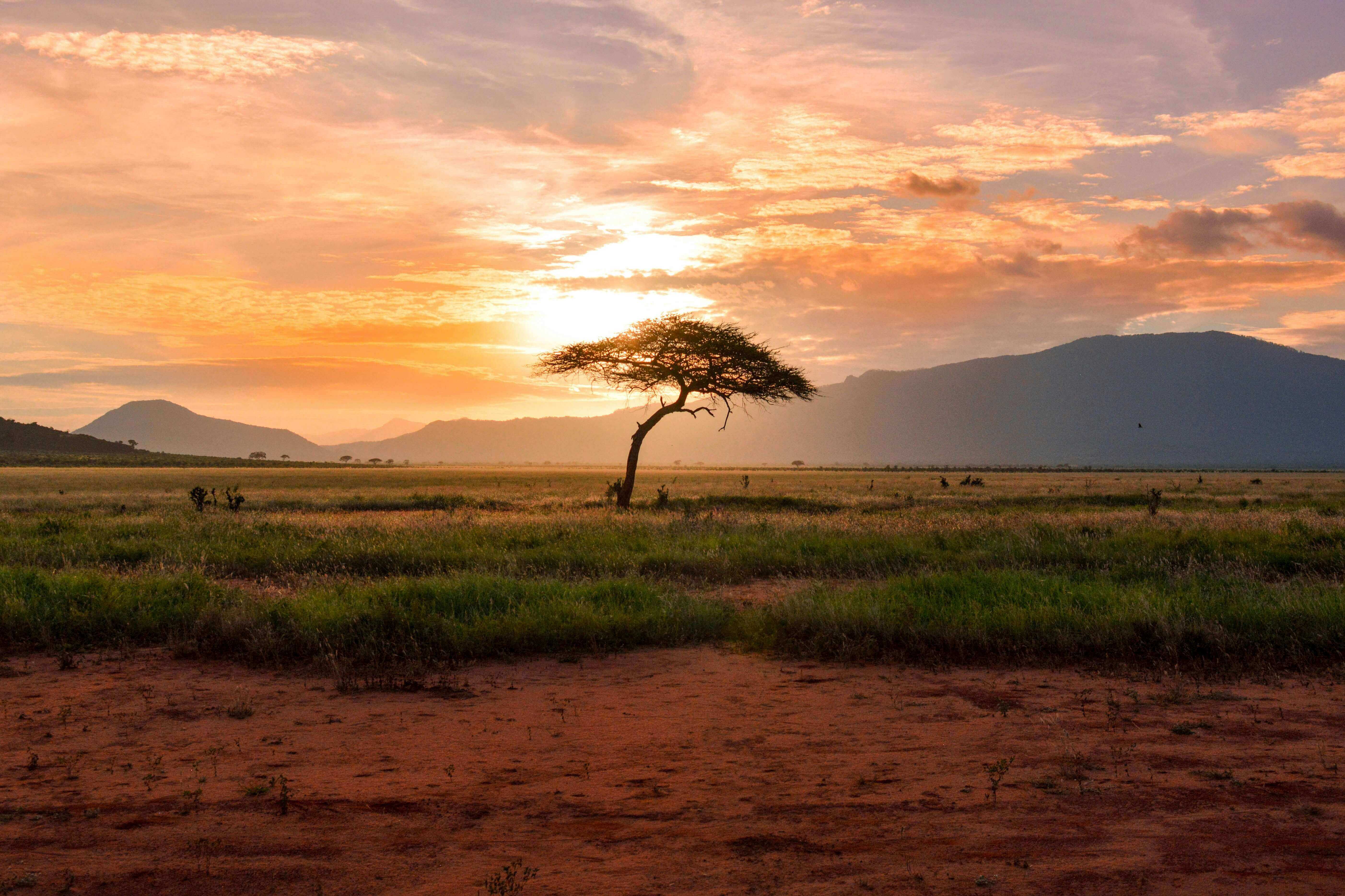 Tsavo National Park — One of Kenya's largest parks with diverse wildlife
